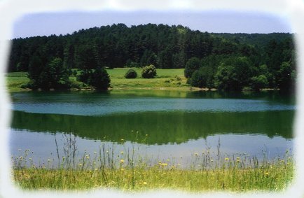 Il lago dell'azienda