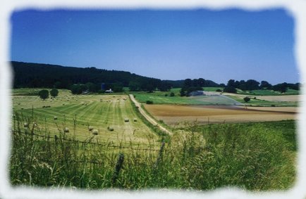 Campi