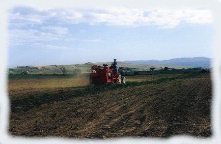 Macchina per la raccolta