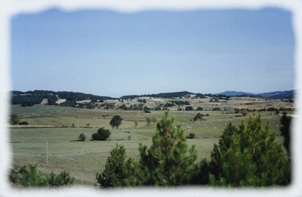 Campi da pascolo